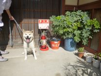 消火器とカイ君